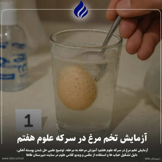آزمایش تخم مرغ در سرکه علوم هفتم