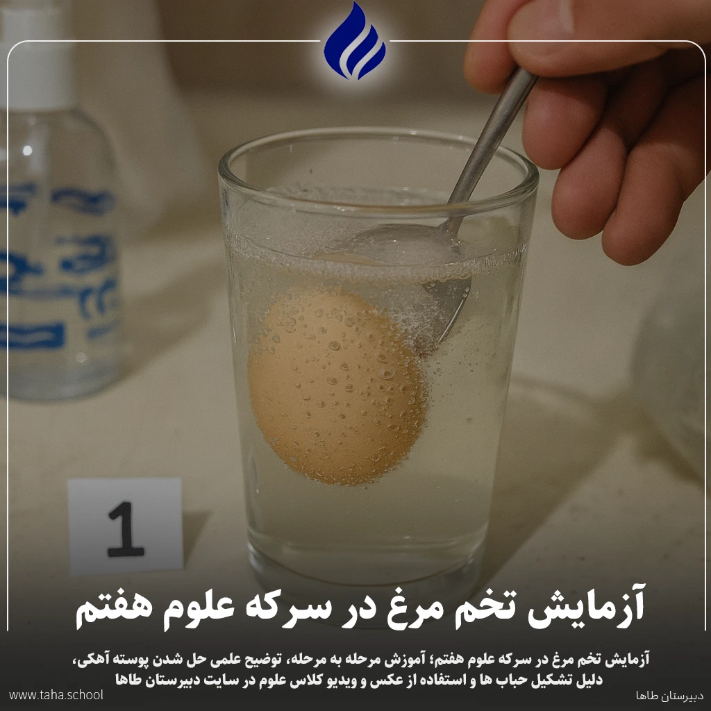 آزمایش تخم مرغ در سرکه علوم هفتم