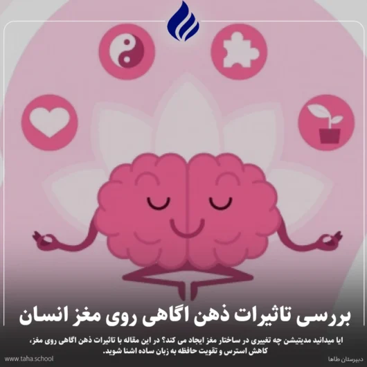 تاثیرات ذهن اگاهی روی مغز