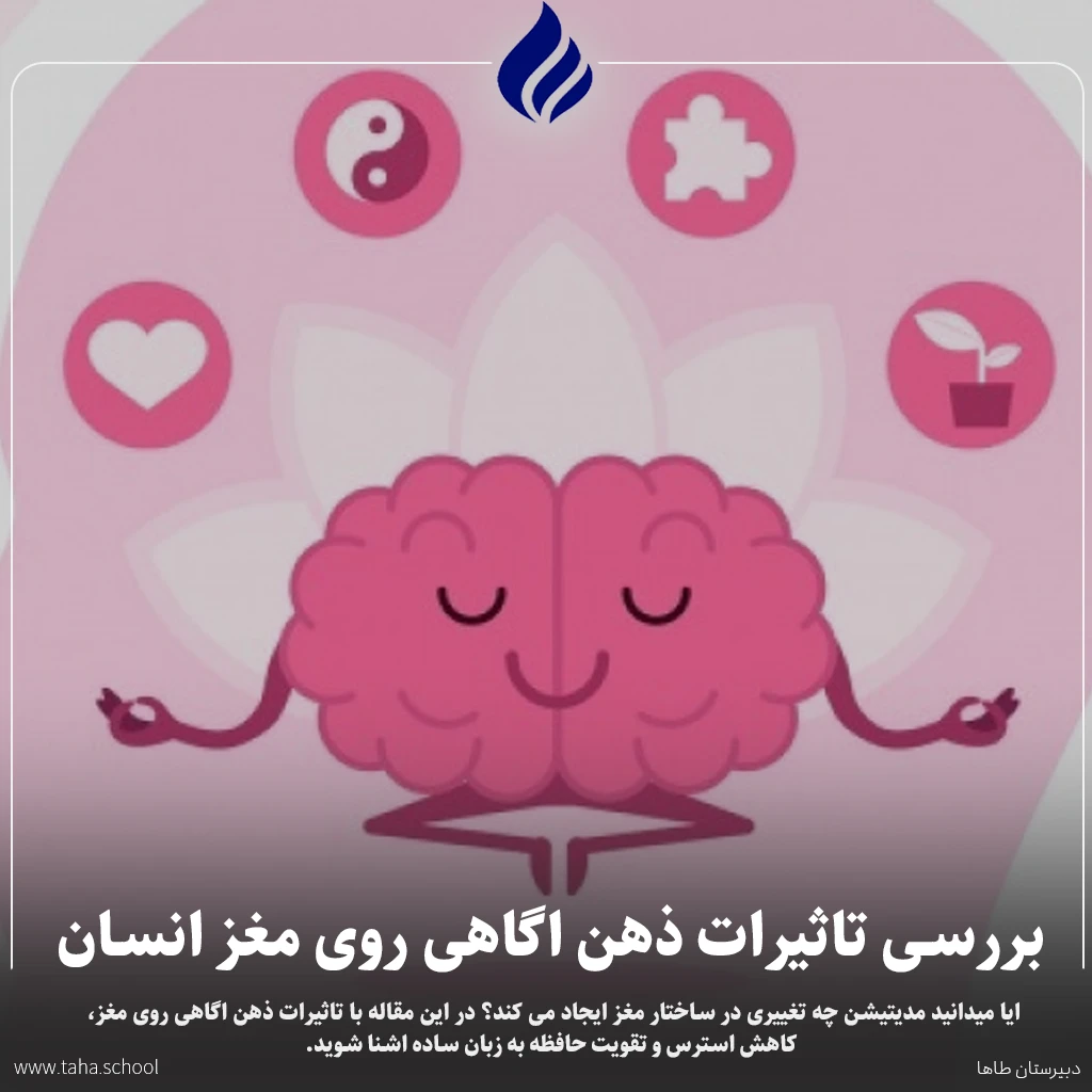 تاثیرات ذهن اگاهی روی مغز